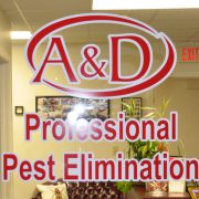 axi_signs_window_graphics